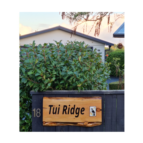 Macrocarpa 'Tui Ridge' Sign